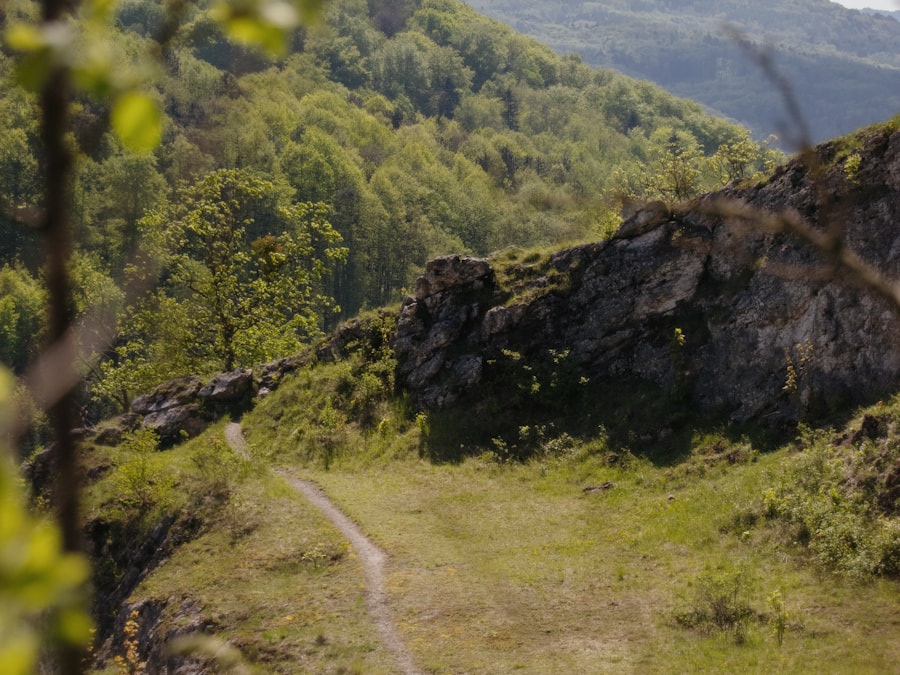 A winding path through a green landscape